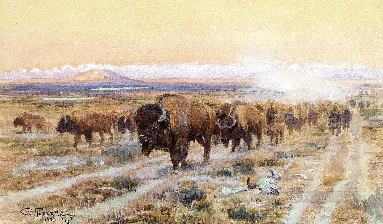 The Bison Trail cattles western American Charles Marion Russell Oil Paintings